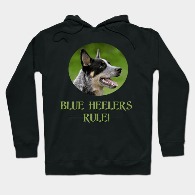 Blue Heelers Rule! Hoodie by Naves